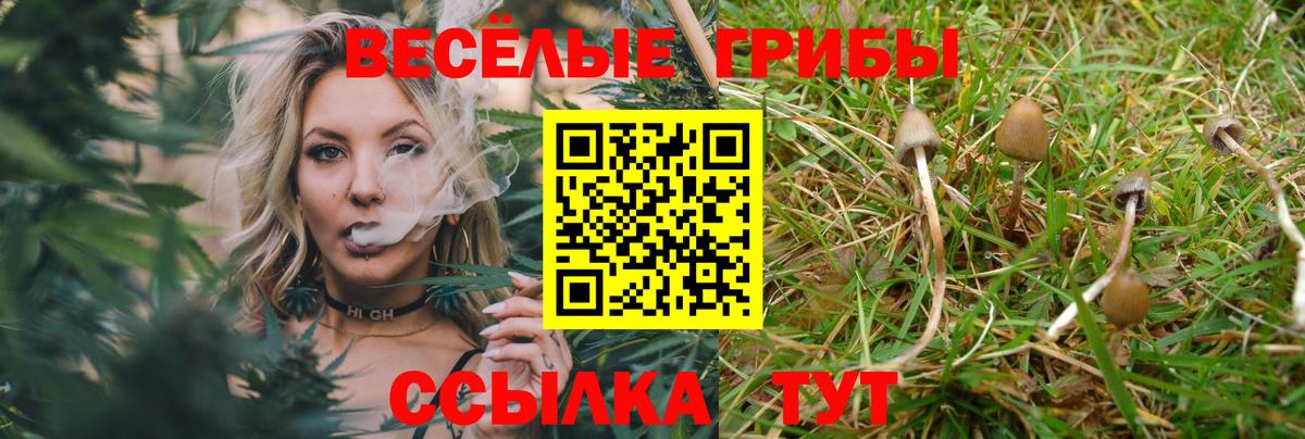 Псилоцибиновые грибы GOLDEN TEACHER  Вход с VPN  Псилоцибиновые грибы GOLDEN TEACHER  Сокол 