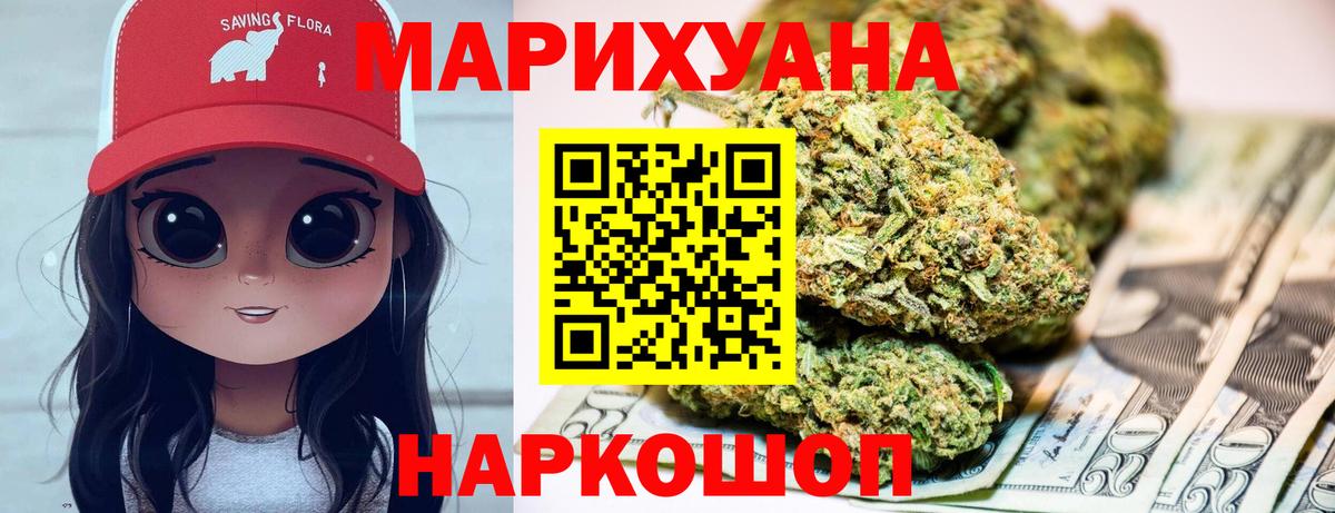 МАРИХУАНА сатива Сокол